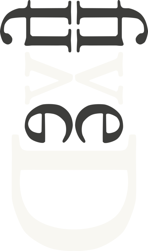 fiveD Logo
